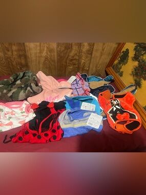 Assorted dog clothes